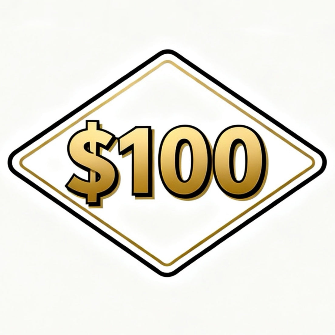 Custom Payment ($100)